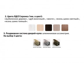 Шкаф-купе Акцент-Сим Д 1200-600 шимо тёмный в Лангепасе - langepas.magazinmebel.ru | фото - изображение 3